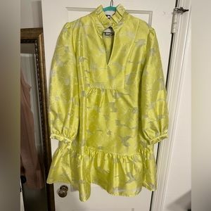 Tuckernuck Citron Fil Coupe Palmerston Dress XL